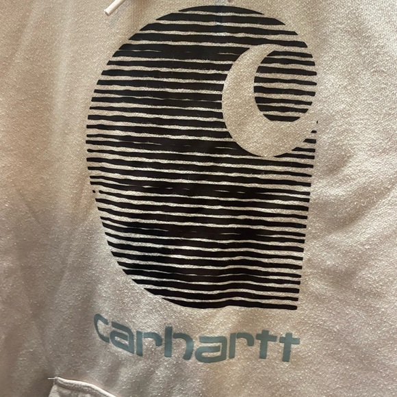 Carhartt Blush Women's 2XL Hoodie with Front Logo Relaxed Rain Defender - Picture 4 of 10